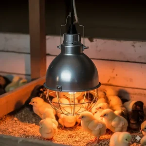 7 Best Heat Lamp Fixture Solutions That Actually Work in 2025 ...