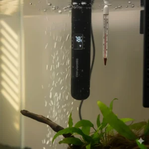 Clear view of the adjustable thermostat dial on a turtle tank heater, set to the ideal water temperature for a common pet turtle species.